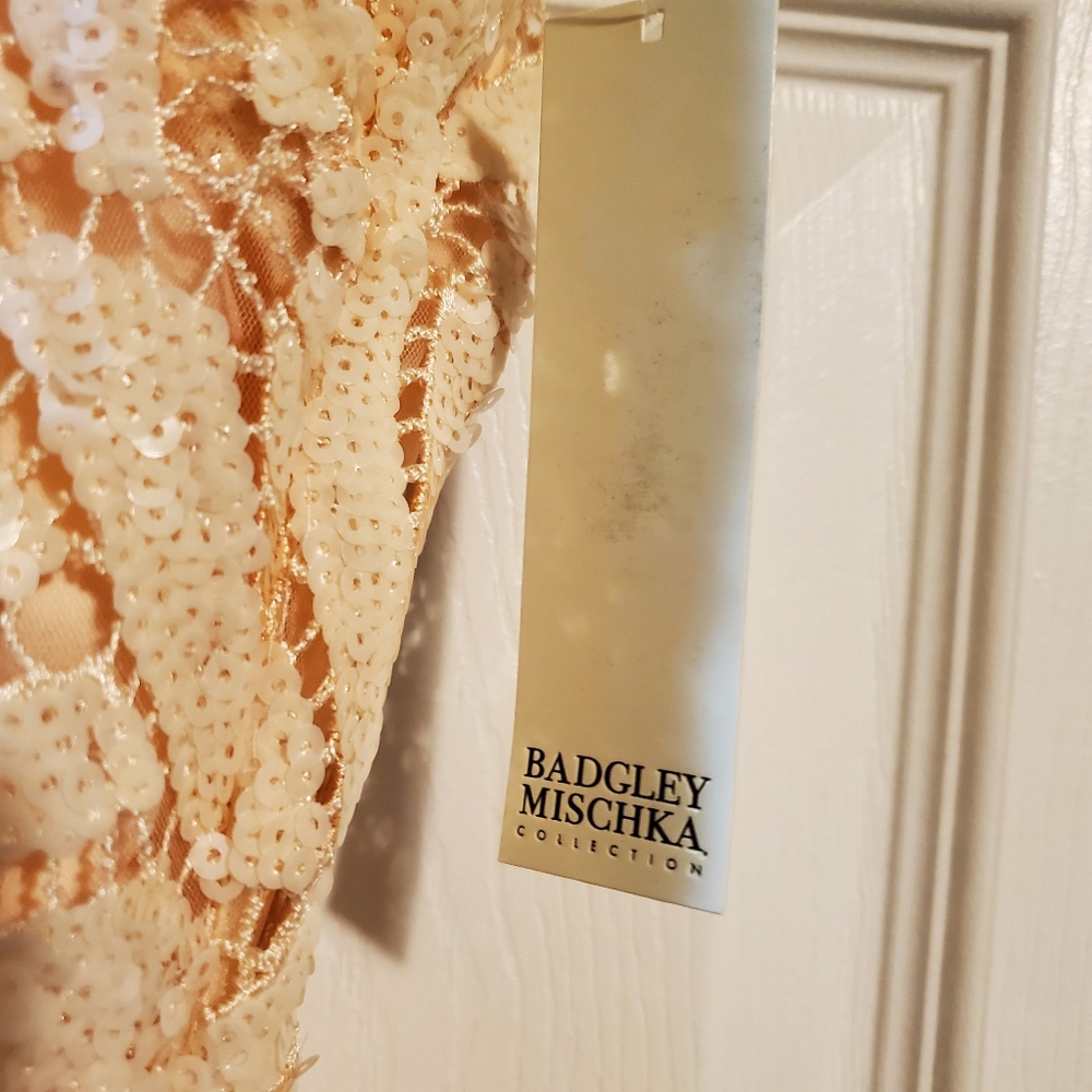 Badgley Mischka Draped Sequin Lace Gown In Blush - Picture 3 of 4
